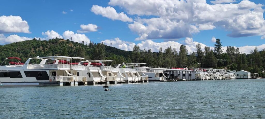 Jones Valley Resort - Shasta Lake